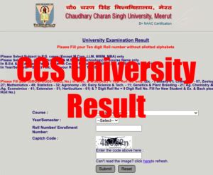 ccsu result 2020|University Examination Result .